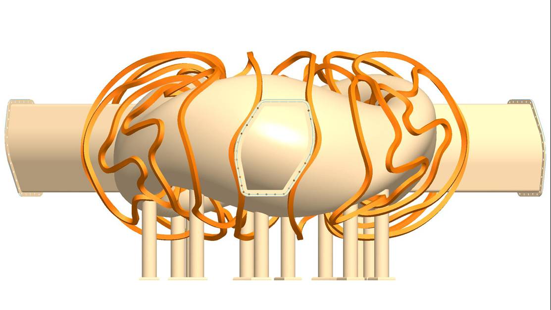VV and Coils
Picture